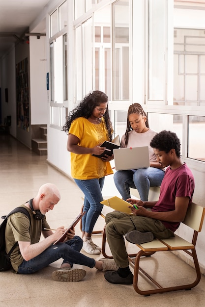 DELF/DALF資格準備